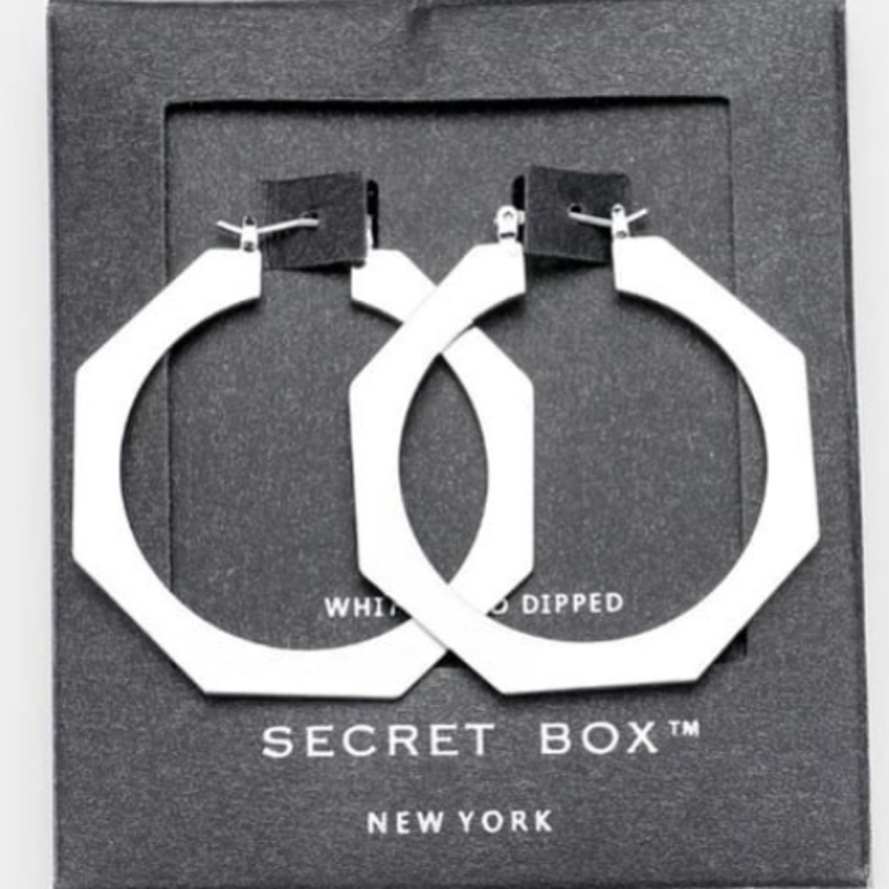 Secret Box _ White Gold Dipped Hoop Pin Catch Earrings
